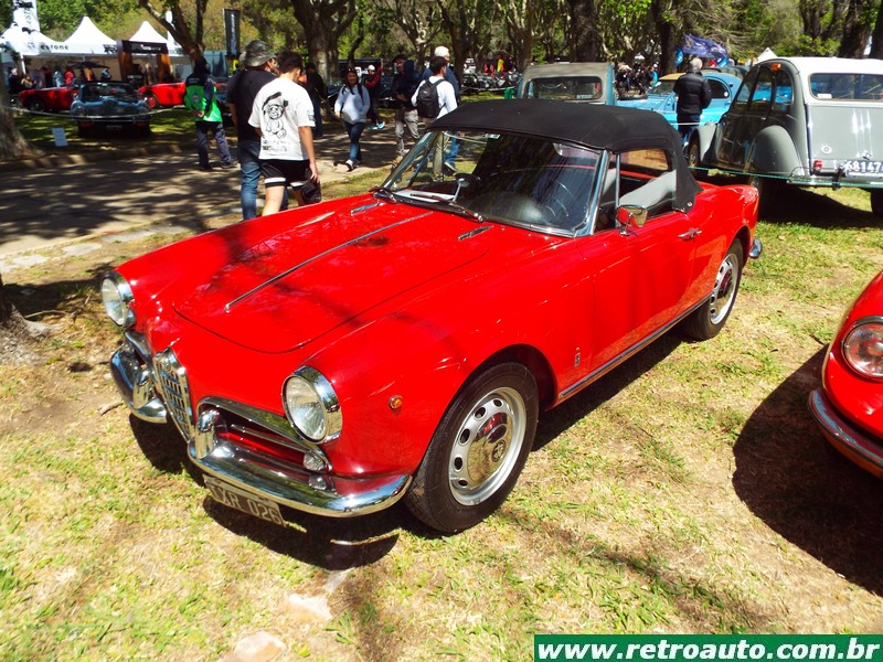 Alfa Romeo Giulia Spider Veloce.Um Verdadeiro Spider na Linha Giulia